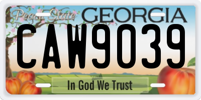 GA license plate CAW9039