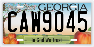 GA license plate CAW9045