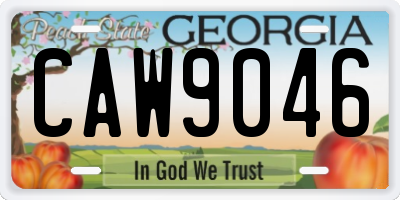 GA license plate CAW9046