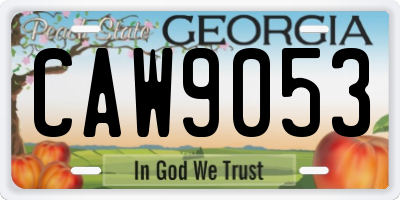 GA license plate CAW9053