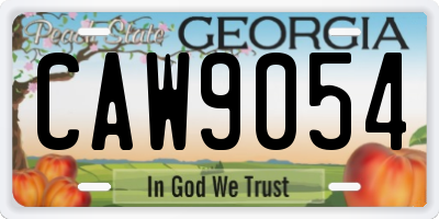 GA license plate CAW9054