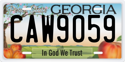 GA license plate CAW9059
