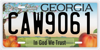 GA license plate CAW9061