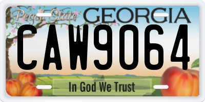 GA license plate CAW9064