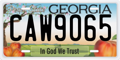 GA license plate CAW9065