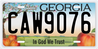 GA license plate CAW9076