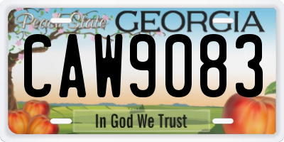 GA license plate CAW9083