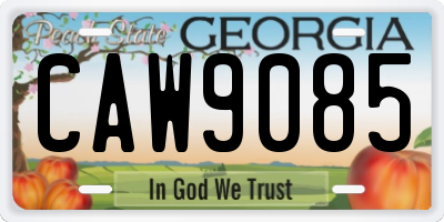 GA license plate CAW9085