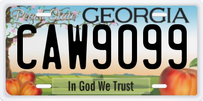 GA license plate CAW9099