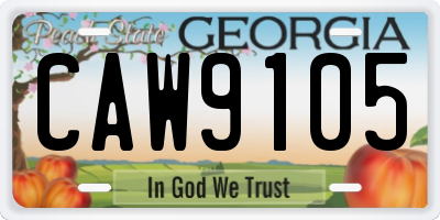 GA license plate CAW9105