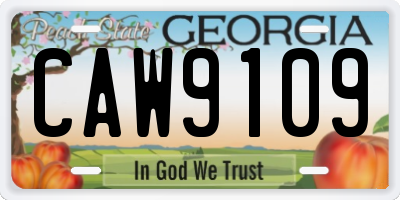 GA license plate CAW9109