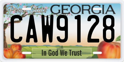 GA license plate CAW9128