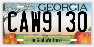 GA license plate CAW9130