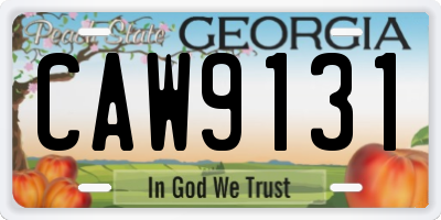 GA license plate CAW9131