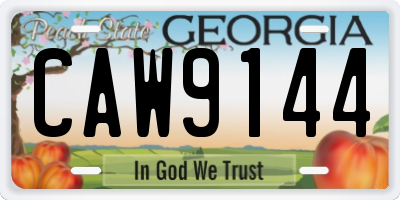 GA license plate CAW9144