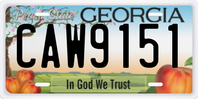 GA license plate CAW9151