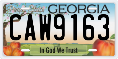 GA license plate CAW9163