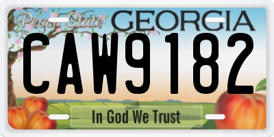 GA license plate CAW9182