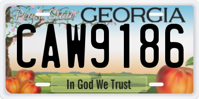 GA license plate CAW9186