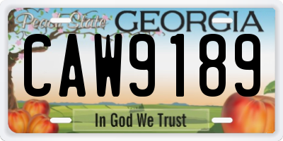 GA license plate CAW9189