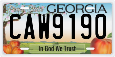 GA license plate CAW9190