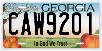 GA license plate CAW9201