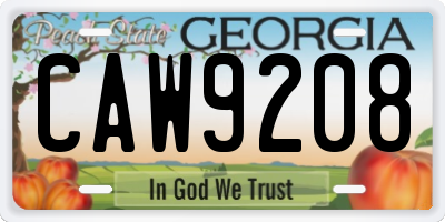 GA license plate CAW9208