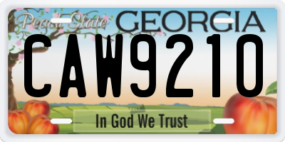 GA license plate CAW9210