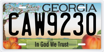 GA license plate CAW9230