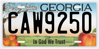 GA license plate CAW9250