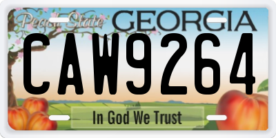 GA license plate CAW9264