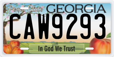 GA license plate CAW9293