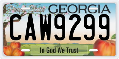 GA license plate CAW9299