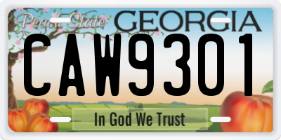 GA license plate CAW9301