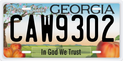 GA license plate CAW9302