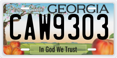 GA license plate CAW9303