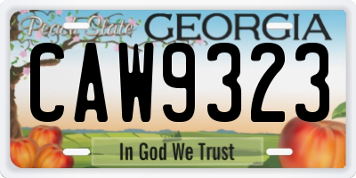 GA license plate CAW9323