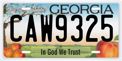 GA license plate CAW9325