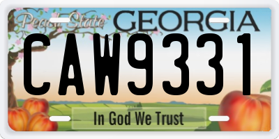 GA license plate CAW9331