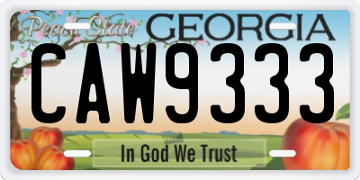 GA license plate CAW9333