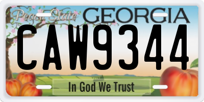 GA license plate CAW9344