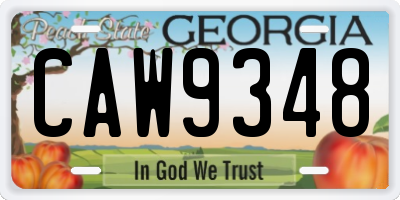GA license plate CAW9348