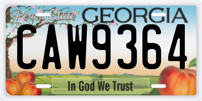 GA license plate CAW9364