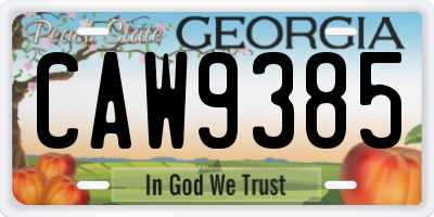 GA license plate CAW9385
