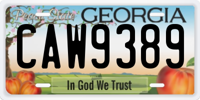GA license plate CAW9389