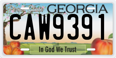 GA license plate CAW9391