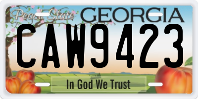 GA license plate CAW9423