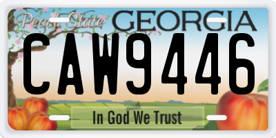 GA license plate CAW9446