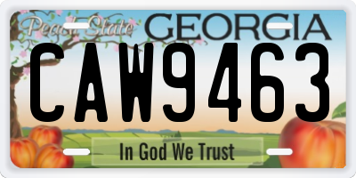 GA license plate CAW9463