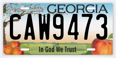 GA license plate CAW9473